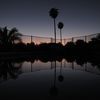 saguaroaz